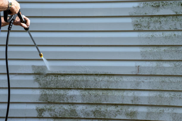 Best Carpet Removal and Disposal  in Sagamore, MA